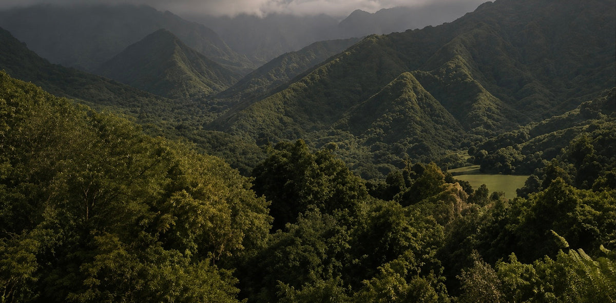 'ĀINA Collection